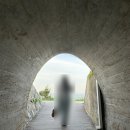 2024.05 동해삼척여행/무릉별유천지/펜션동해래요