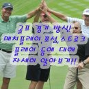 더매치골프 | 골프 경기방식 매치플레이 스트로크프레이 포섬 포볼 등 알아보기