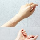 사해의집
