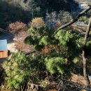 마금산온천 이미지