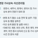 김앤장디자인 이미지