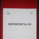 마룡농장 이미지