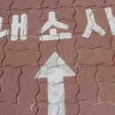 살미목장 | [여행후기] 전라북도 부안군 내소사, 부안군 문화유산, 내소사 전나무 숲길 - 쏭쏭드리아 [전라북도...