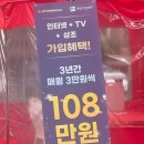 [후기] 하이마트X프리드라이프 상조 가입 해지