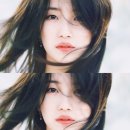 수지맞다 이미지