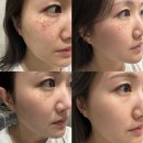 성읍리-24 | [25&#39;06] 6월 일상 다이어리 - 먹고 여행가고 고양이랑 뒹굴하고 모동숲하는 기록들