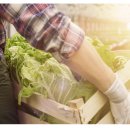 맘마농장 이미지