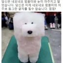 남해 돈섬 이미지