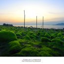 바다스토리리조트