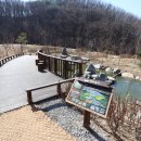 구로-구로-구로-148 이미지