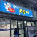 럭키 | 제주 시청 삼도일동 고등어회<안경쓴고등어> : 가까워서 간 집이 동네 현지인 맛집이라니.. 초럭키★