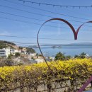 들꽃펜션 | [여수펜션] 여수 들꽃마을펜션 머물기 너무 편안, 사랑초 객실 후기