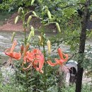 양평가든 이미지