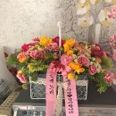 주간일기 44번째