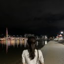 모찌쇼룸