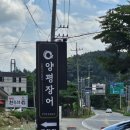 마유산로 | [양평장어] 구워주는 장어구이 맛집 추천 / 서툰 사장님 but 맛집 인정