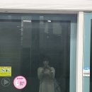 감천태양광 | 통영여행