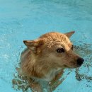 스테이 도랑 이미지