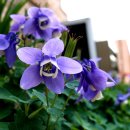 탑거리세천 이미지