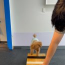 사랑가득한유치원 이미지