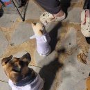 스테이지 이플 이미지