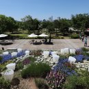 뚝섬한강공원-22 이미지