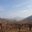 두성농장 이미지