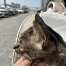 송림동물병원 이미지