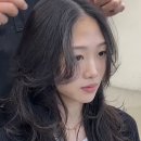 하올디자인 이미지
