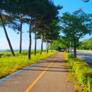 동해안자전거도로4(서) | [전남 나주] 영산강 자전거길 아이랑 라이딩 10km 초보코스 승촌보 인증센터 스탬프