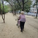 매천무지개공원