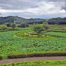 세종공원 이미지