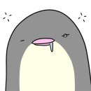 거제도핫도그 이미지