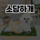대호생고기 이미지