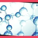 주식회사 천도 이미지