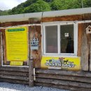 정선아기동물농장 이미지