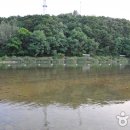 마을관리 휴양지 이미지