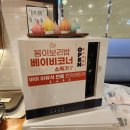 봄이보리밥 일산벨라시타점 | 고양종합터미널 맛집/또간집 재방문 후기/내돈내산] 봄이보리밥 일산벨라시타점 오징어볶음, 미나리전 후기