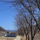 진부령미술관 이미지