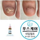 네일델르 이미지