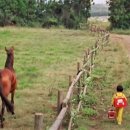 박길수농장 이미지