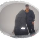 대우장여관 이미지