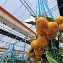 석희농장 이미지