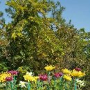 도리포민박 이미지