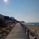해파랑길 15코스 이미지