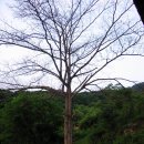 설악농장 이미지