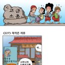 신고금 Daum카페