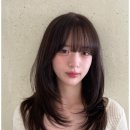 터미널헤어