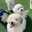 미소유치원 이미지