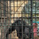 스마트바이브 | 🇲🇽 [메리다 2일차] 단돈 0원으로 즐기는 동물원 &amp; 스마트 버스 '바이브' 완벽 이용 가이드